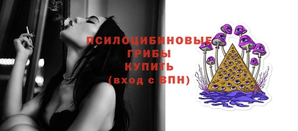 спиды Алексеевка
