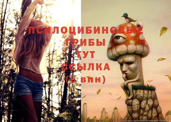 кокаин перу Алзамай