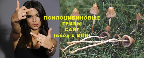 спиды Алексеевка