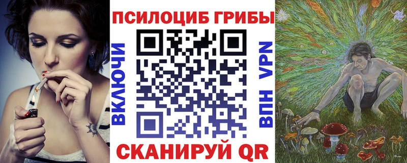 как найти закладки  Находка  Псилоцибиновые грибы GOLDEN TEACHER 