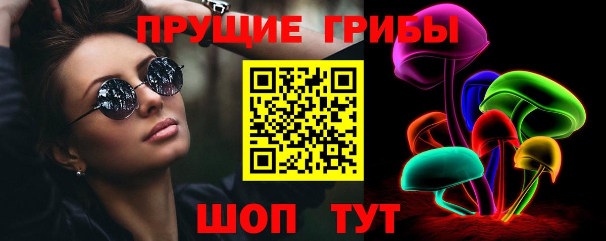 Находка  наркота  Вход с VPN  Галлюциногенные грибы Psilocybine cubensis  Псилоцибиновые грибы прущие грибы 